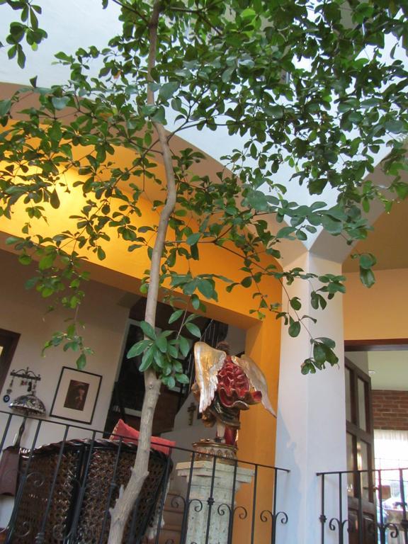La Colorada Bed & Breakfast Zacualpan Exterior photo